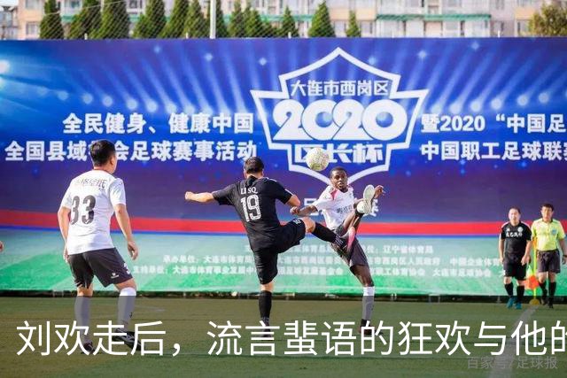 刘欢走后，流言蜚语的狂欢与他的静谧遗愿